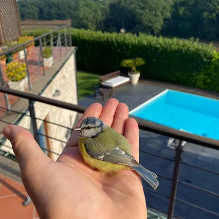 Villa Coccinella *